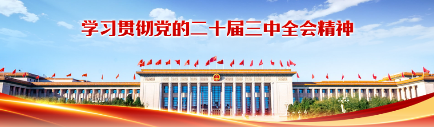 學習貫徹黨的二十屆三中全會精神